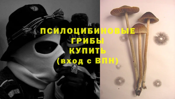 MDMA Аркадак
