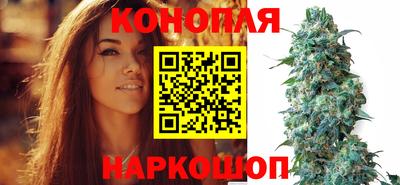 соль ск Гагарин