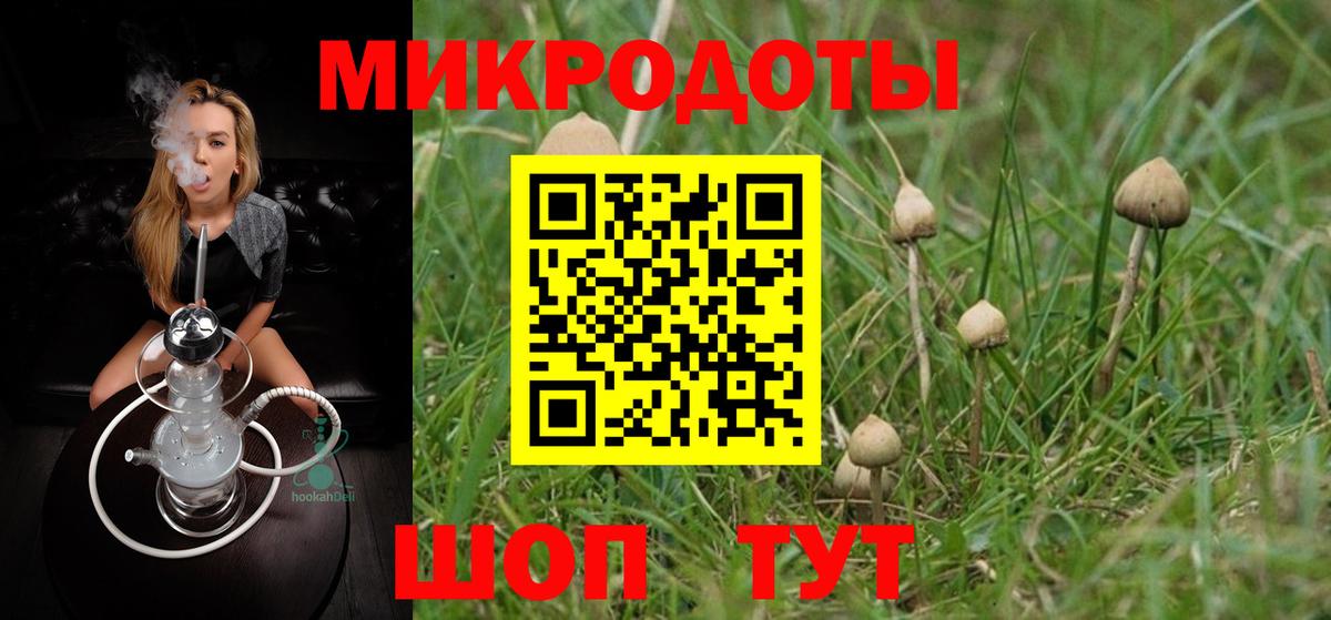 Псилоцибиновые грибы Cubensis  Вход с VPN  Краснокамск 
