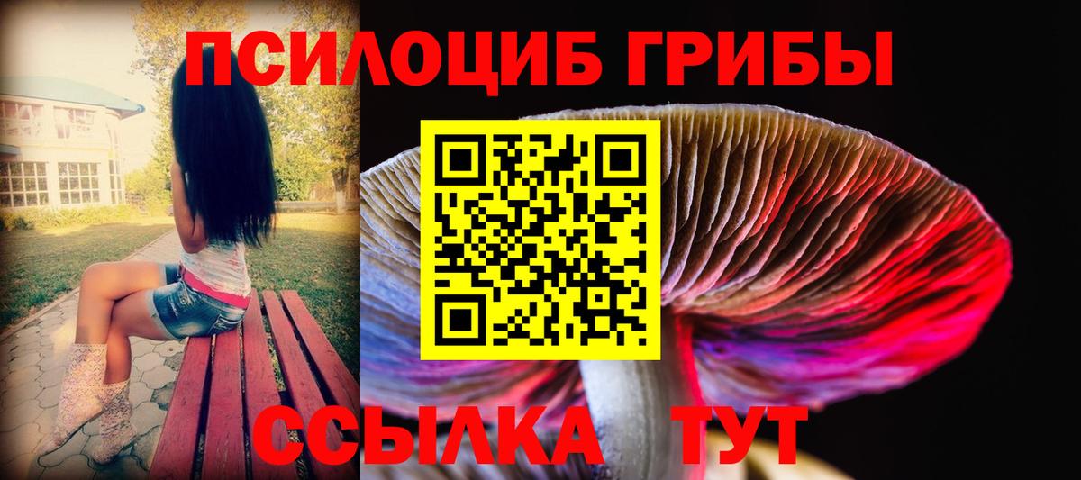 Псилоцибиновые грибы прущие грибы  Краснокамск  где найти наркотики  Галлюциногенные грибы Magic Shrooms 